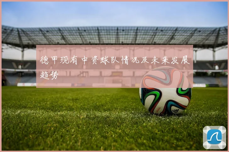 德甲现有中资球队情况及未来发展趋势