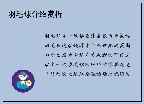 羽毛球介绍赏析