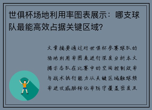 世俱杯场地利用率图表展示：哪支球队最能高效占据关键区域？